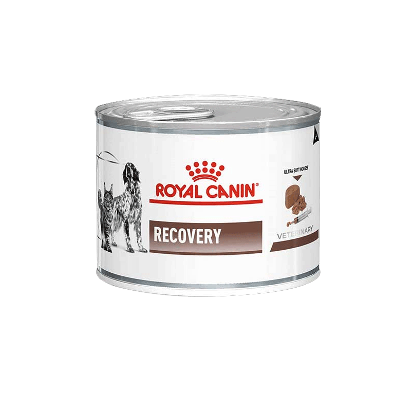 کنسرو غذای سگ و گربه رویال کنین Royal Canin Recovery Mousse Can وزن ۱۹۵ گرم