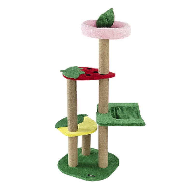 درخت گربه میوه‌ای نیناپت کد B