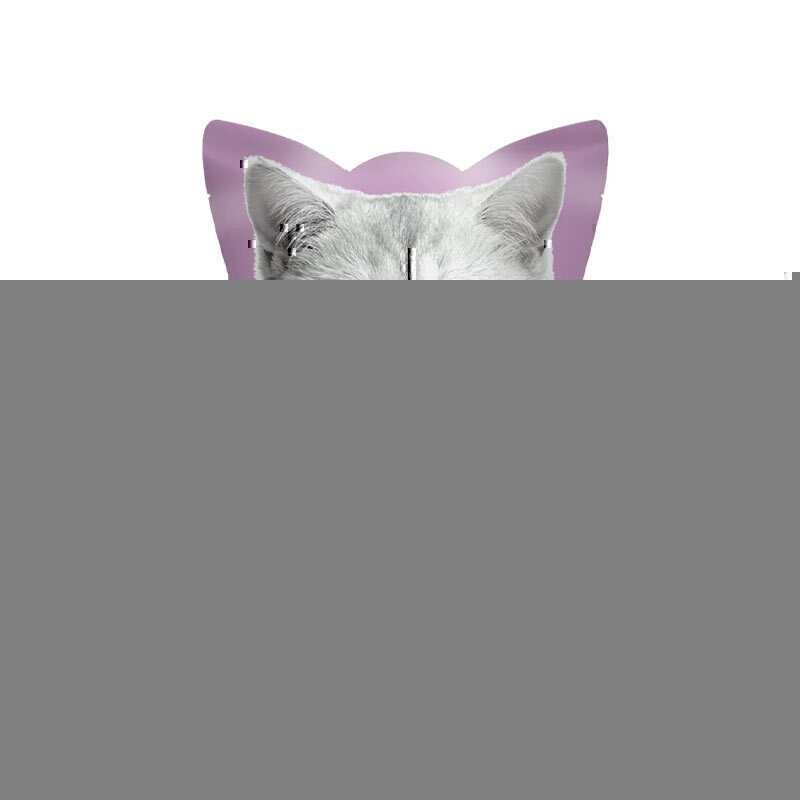 پوچ گربه کیت کت با طعم مرغ و ماهی تن Kit Cat Cat Pouch With Chicken & Tuna وزن 70 گرم