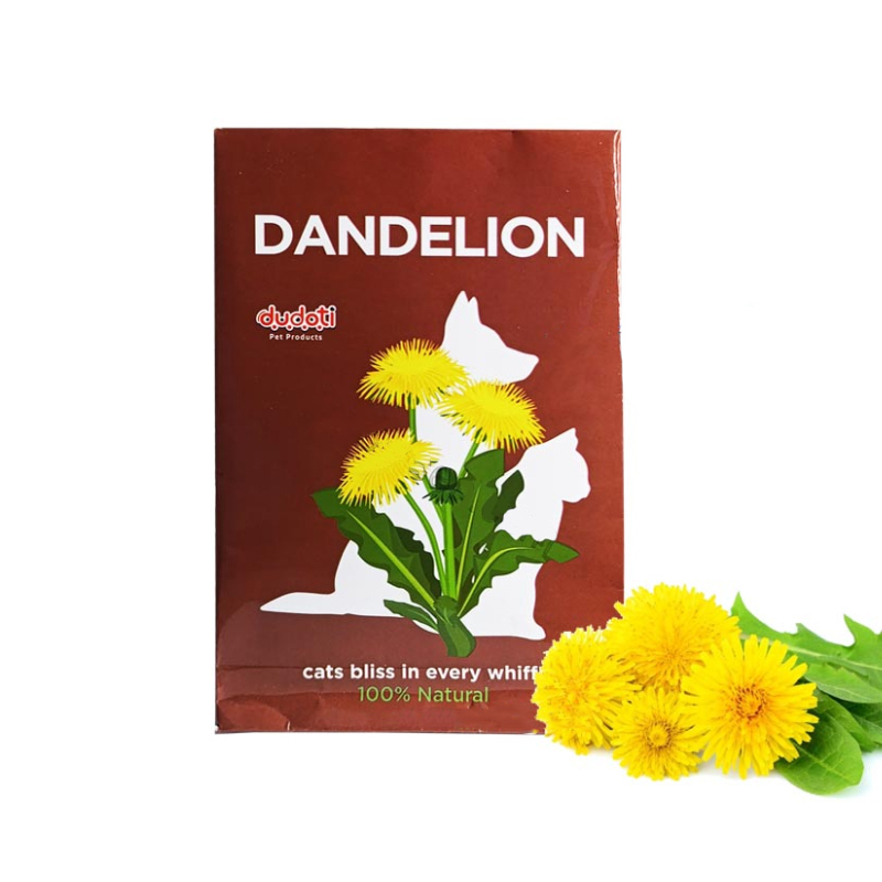 پودر گل دندلیون گربه دودوتی Dudoti Dandelion Seeds وزن 10 گرم